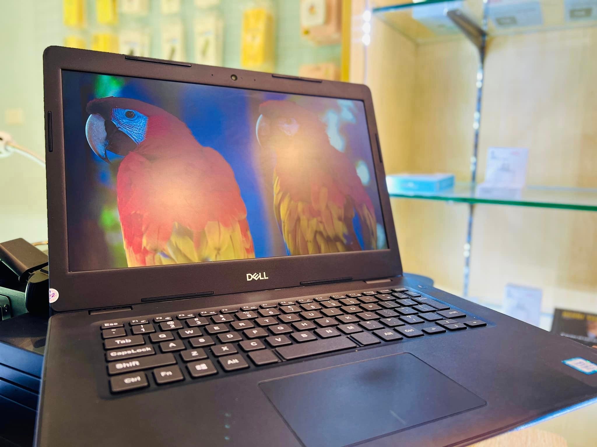 [{"lang_code":"vi","content":"M\u00e1y t\u00ednh Laptop Dell Latitude 3490 Core I5 Ram 8Gb\/128Gb"}]
